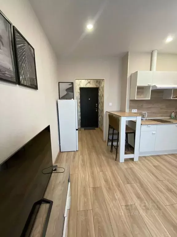 Студия Краснодарский край, Краснодар ул. Ивана Беличенко, 95к1 (20.3 ... - Фото 1