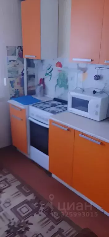 1-к кв. Нижегородская область, Нижний Новгород ул. Премудрова, 10к1 ... - Фото 2