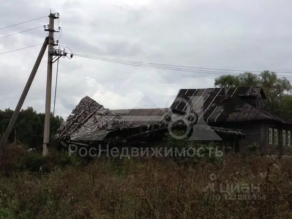 Участок в Владимирская область, Кольчугинский муниципальный округ, с. ... - Фото 1