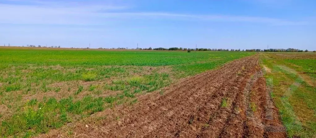 Участок в Крым, Сакский район, с. Добрушино  (100.0 сот.) - Фото 1