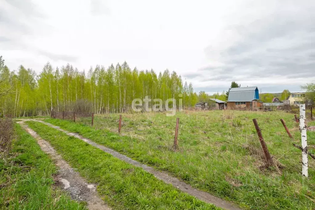 Участок в Новосибирская область, Новосибирский район, Барышевский ... - Фото 1