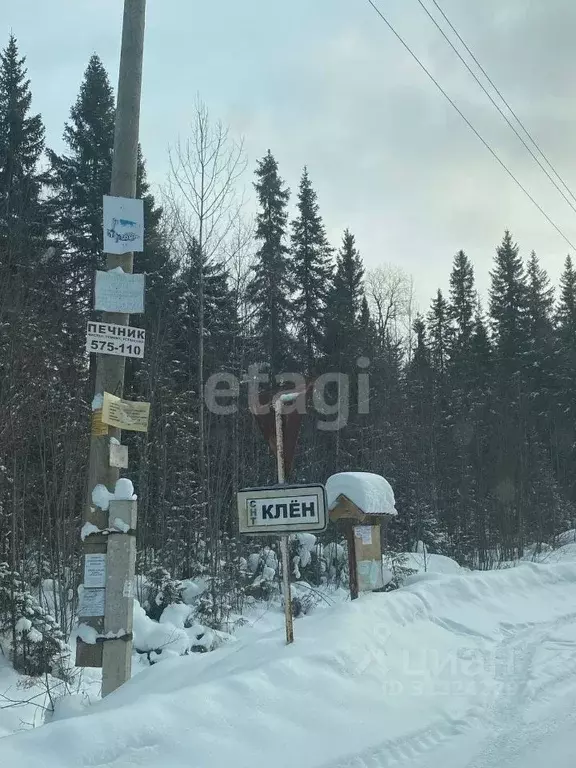 Участок в Коми, Сыктывдинский район, с. Выльгорт, Клен садоводческое ... - Фото 0