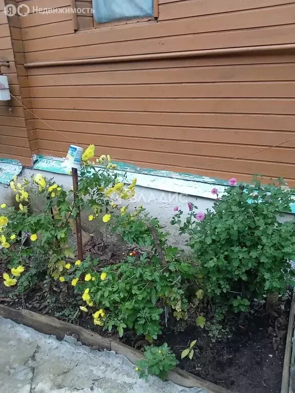 Дом в Вязники, улица Мошина, 5 (50.1 м) - Фото 2