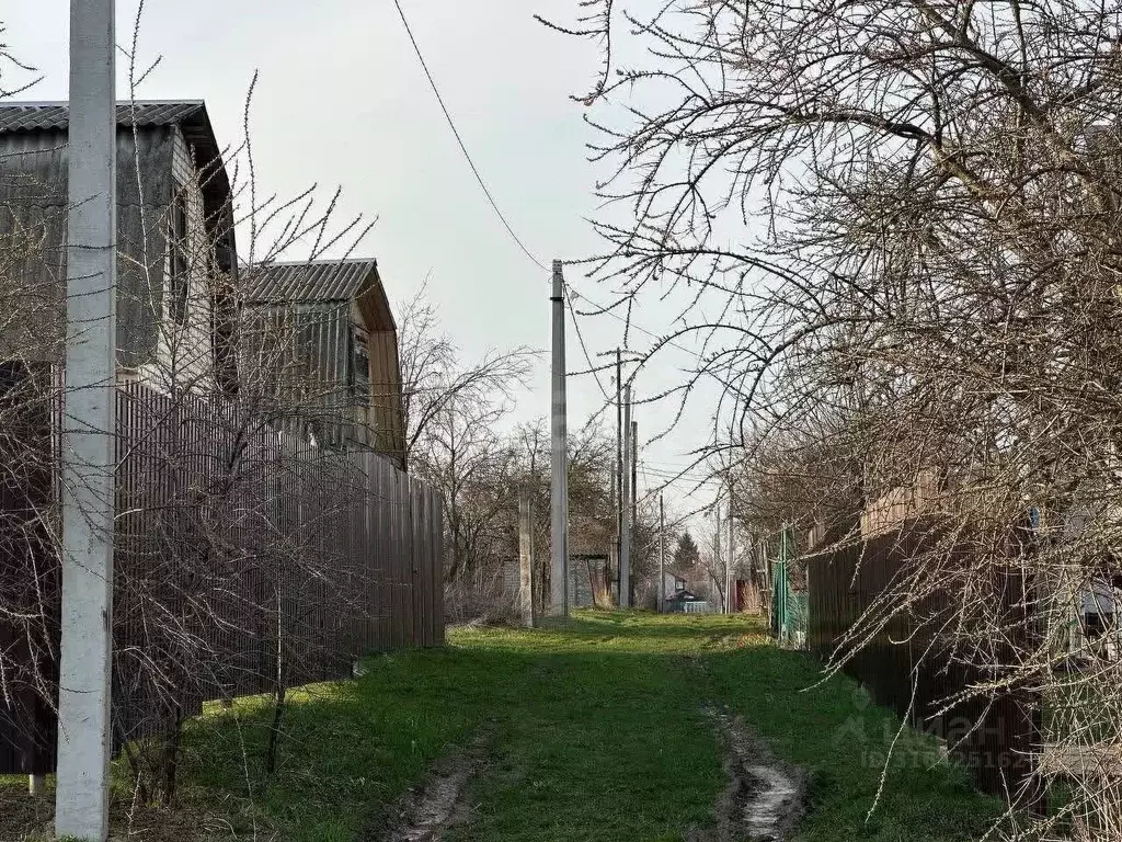 Участок в Брянская область, Брянский район, Снежское с/пос, пос. ... - Фото 2