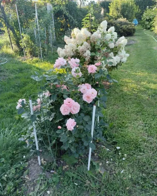 Дом в Московская область, Наро-Фоминский городской округ, д. Малые ... - Фото 2