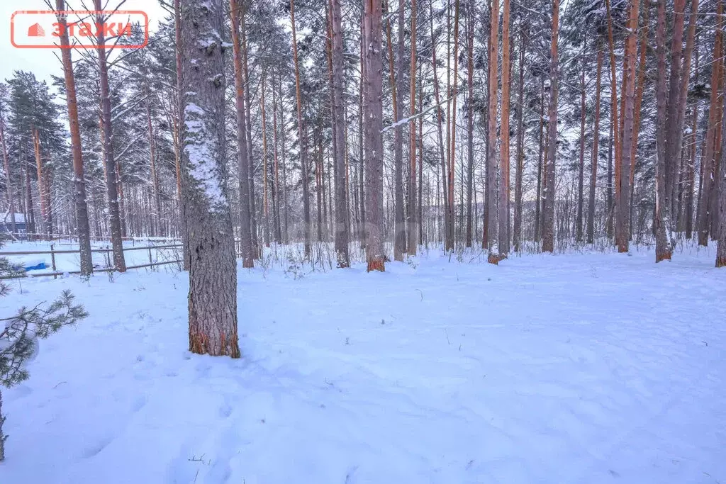 Участок в Кондопожский район, Кончезерское сельское поселение, село ... - Фото 1