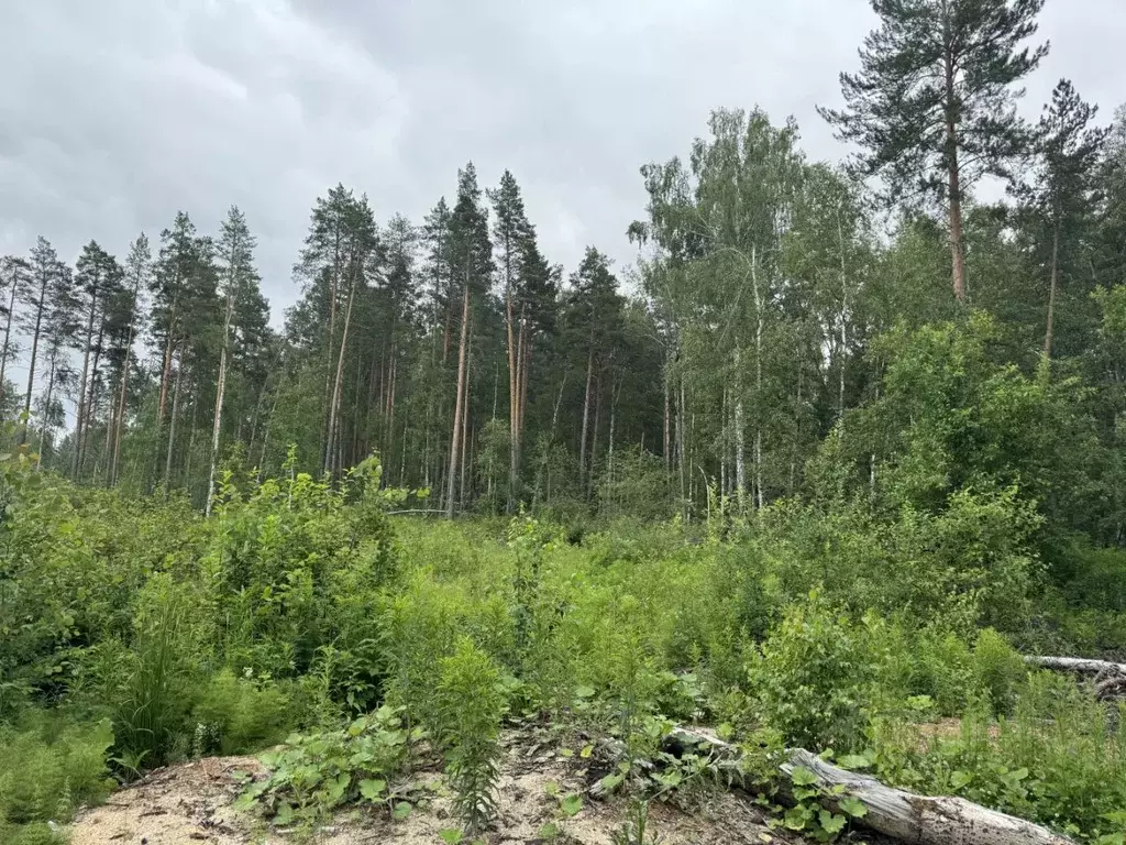 Участок в Свердловская область, Ревда муниципальный округ, с. Кунгурка ... - Фото 1
