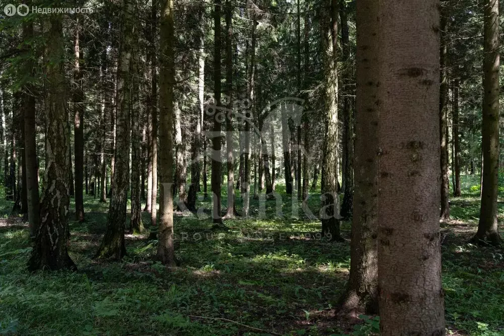 Участок в посёлок Барвиха, территория СП Барвиха (15 м) - Фото 1