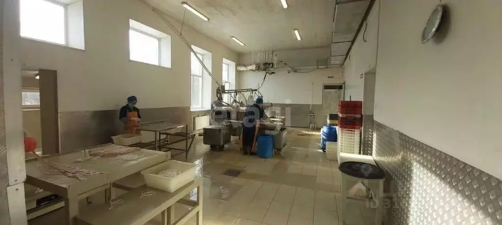 Склад в Ярославская область, Любим Костромская ул., 52 (6446 м) - Фото 1