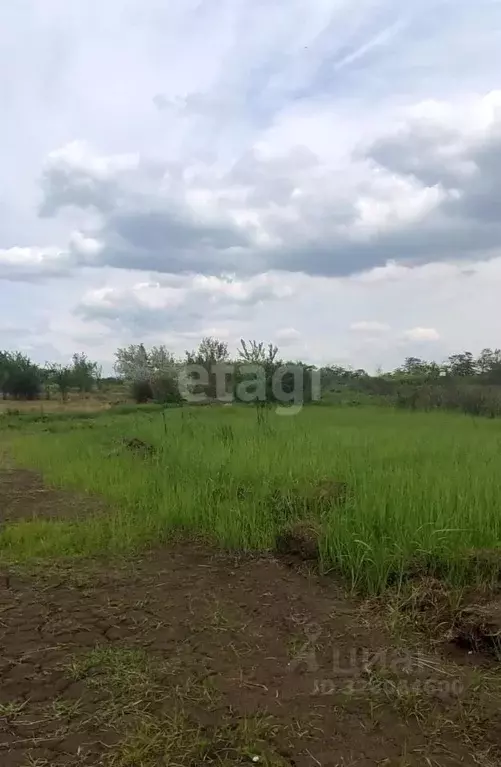 Участок в Ростовская область, Азов Азовский район,  (11.84 сот.) - Фото 1