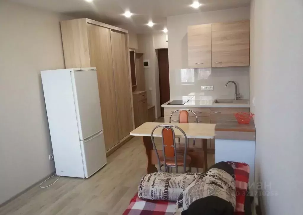 1-к кв. Татарстан, Казань ул. Толбухина, 3 (29.0 м) - Фото 1