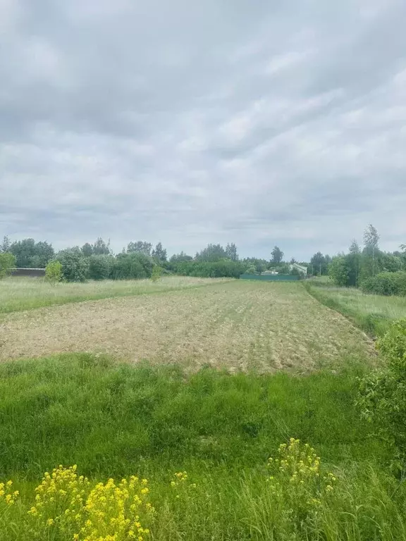 Участок в Московская область, Коломна городской округ, д. Тимирево  ... - Фото 0