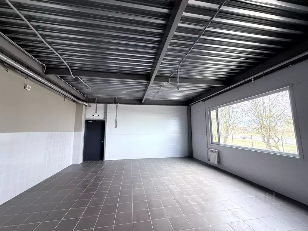 Помещение свободного назначения в Санкт-Петербург, Санкт-Петербург, ... - Фото 1