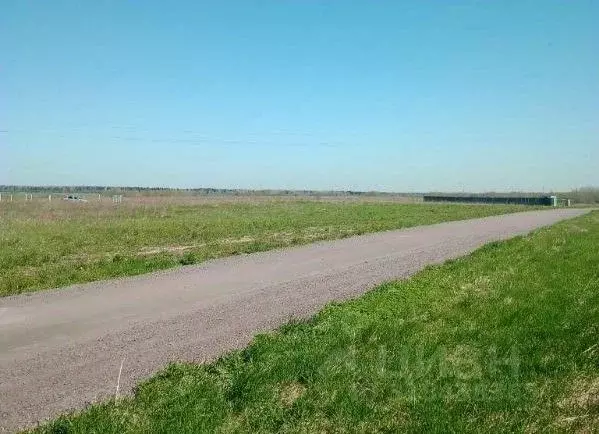 Участок в Ленинградская область, Гатчинский район, пос. Высокоключевой ... - Фото 0