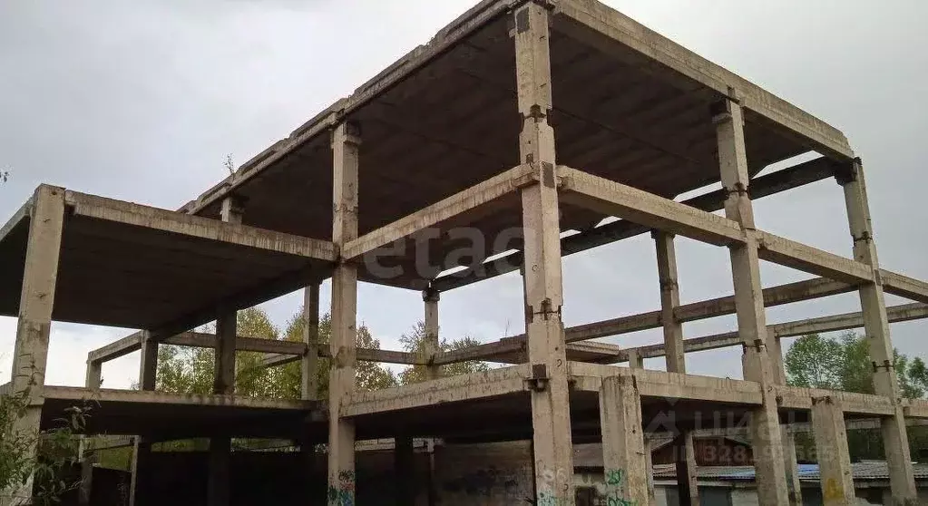 Участок в Амурская область, Селемджинский район, Февральск пгт  (12.09 ... - Фото 1