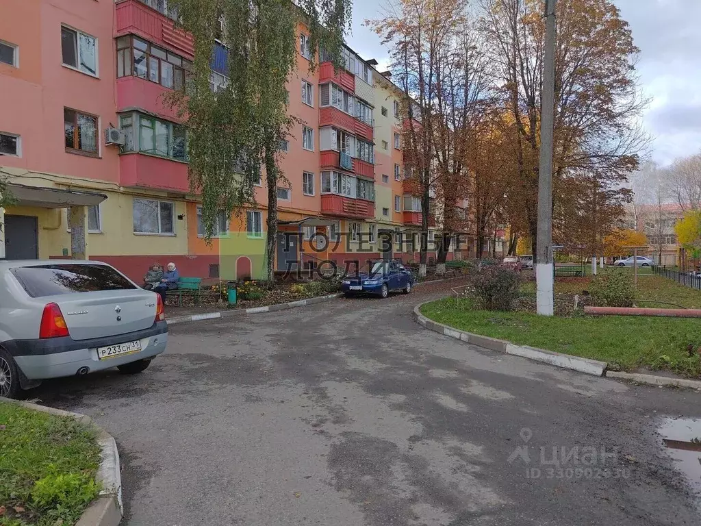 1-к кв. Белгородская область, Строитель Яковлевский городской округ, ... - Фото 1