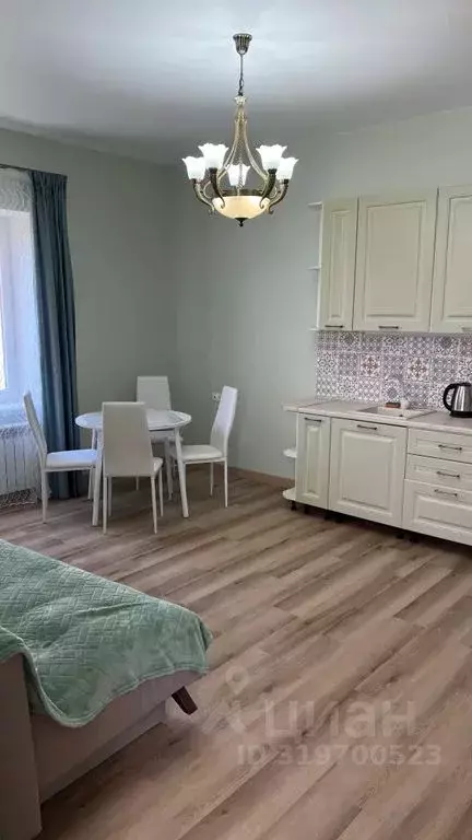 1-к кв. Краснодарский край, Сочи ул. Ленина, 155 (46.0 м) - Фото 1