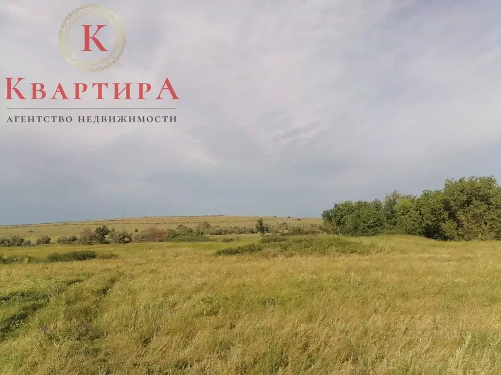 Участок в Оренбургская область, Сакмарский район, Татаро-Каргалинский ... - Фото 2