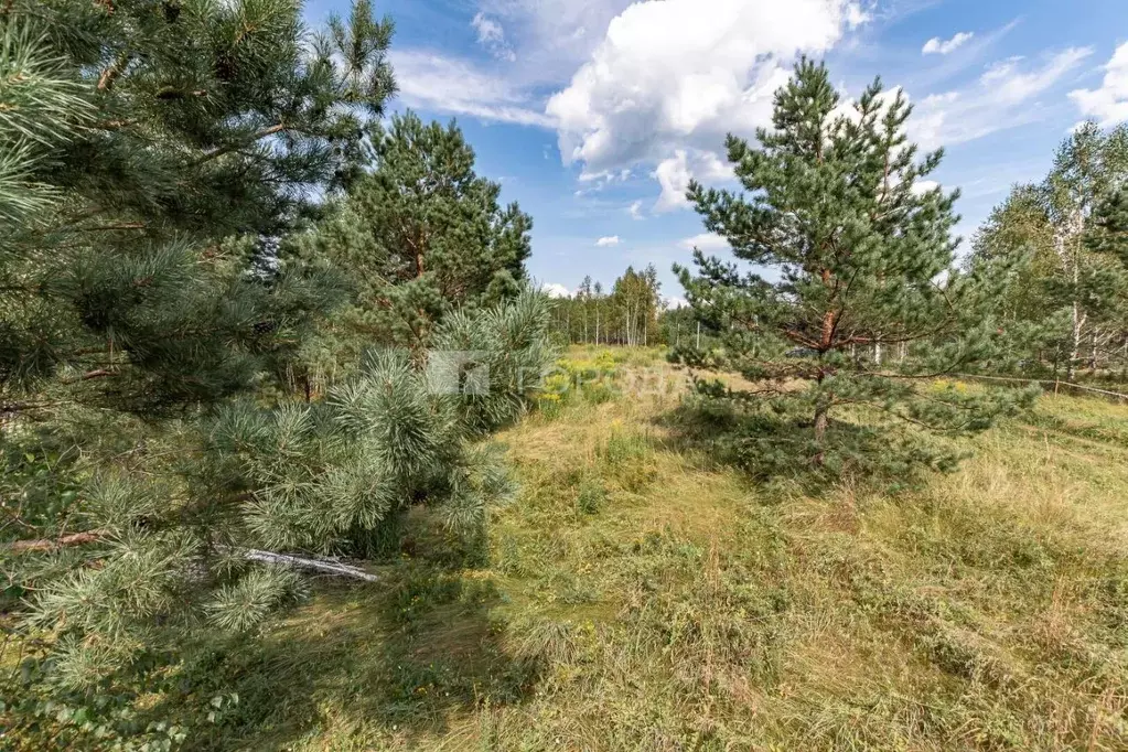 Участок в Алтайский край, Барнаул ул. Есенина, 17 (9.0 сот.) - Фото 2