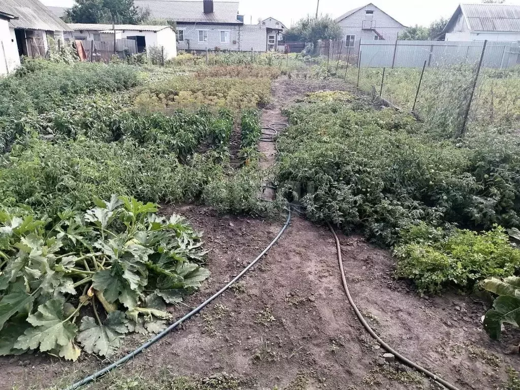 2-к кв. Белгородская область, Алексеевка ул. Полины Борисовской, 8 ... - Фото 2