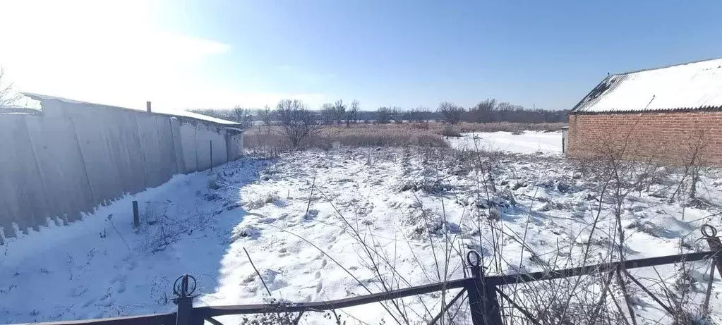 Участок в Белгородская область, Шебекинский муниципальный округ, с. ... - Фото 1