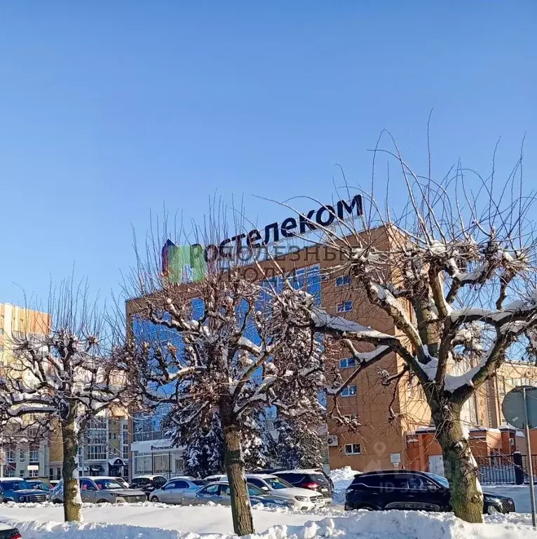 2-к кв. Тамбовская область, Тамбов Советская ул., 38А (54.0 м) - Фото 1