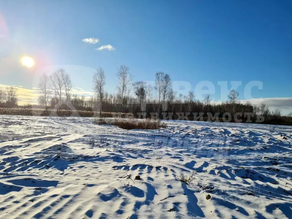 Участок в Тюменская область, Нижнетавдинский район, Строитель ТСН 168 ... - Фото 2