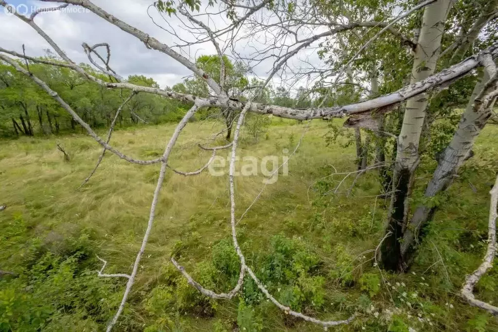 Дом в Комсомольский район, садоводческое товарищество Кедровая Падь, ... - Фото 0