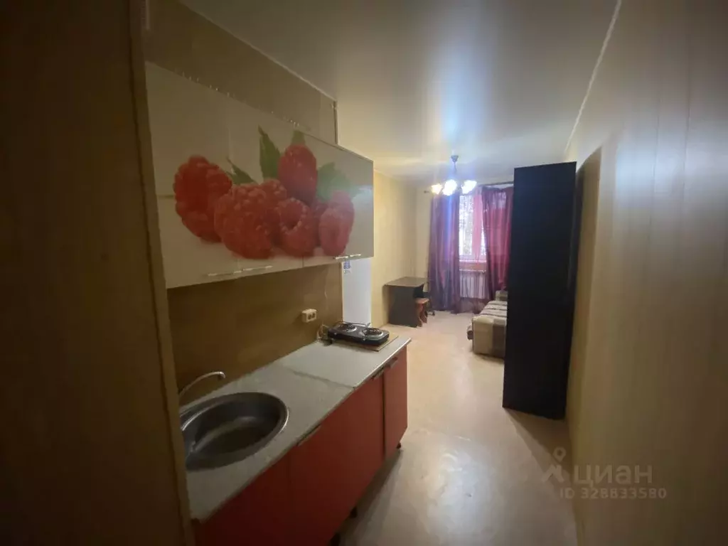 Студия Московская область, Раменский муниципальный округ, д. Дергаево ... - Фото 2