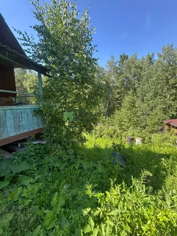 Дом в Красноярский край, Красноярск Свердловская ул., 137 (25 м) - Фото 2