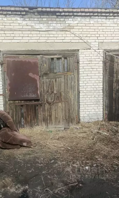 Помещение свободного назначения в Курганская область, Притобольный ... - Фото 1
