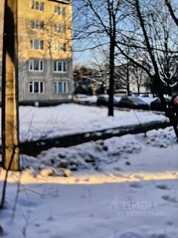 1-к кв. Санкт-Петербург ул. Замшина, 66 (30.0 м) - Фото 1