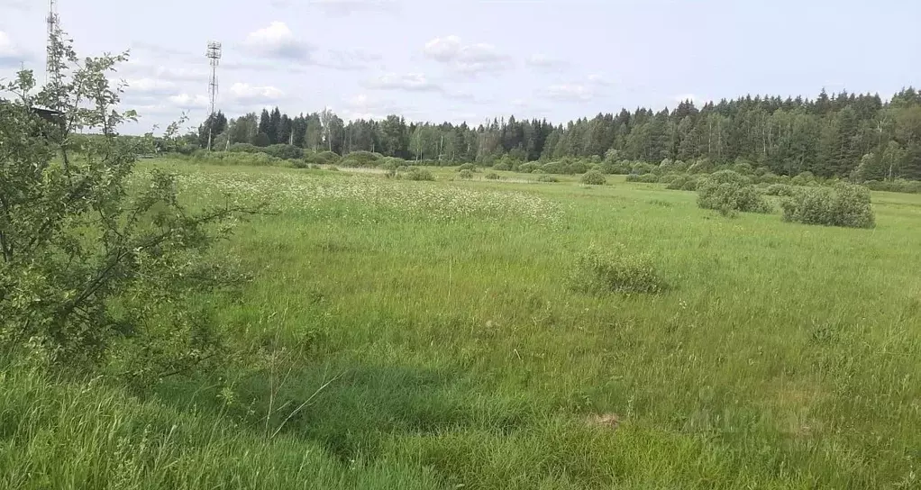 Участок в Московская область, Наро-Фоминский городской округ, д. ... - Фото 2