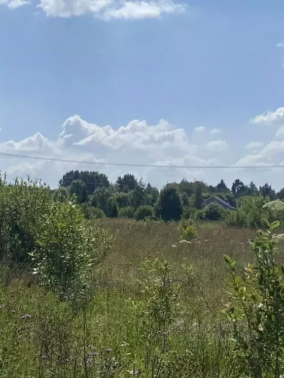 Участок в Московская область, Клин городской округ, Эколуга ТСН  (9.0 ... - Фото 1