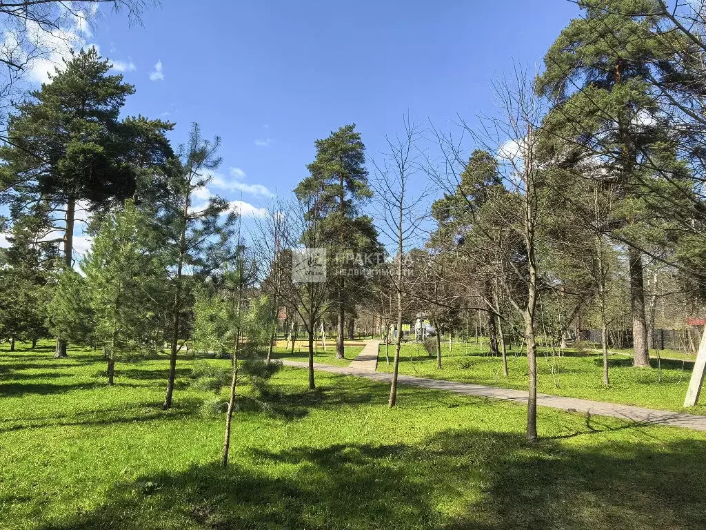 Продается участок в д. Спасское - Фото 2