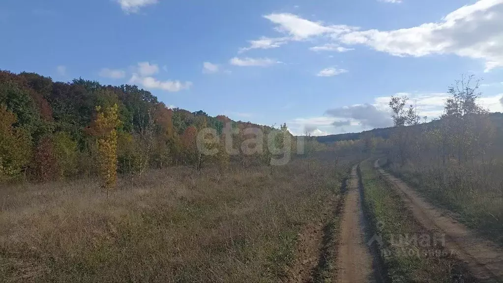 Участок в Крым, Кировский район, Первомайское с/пос, Заря СНТ ул. ... - Фото 1