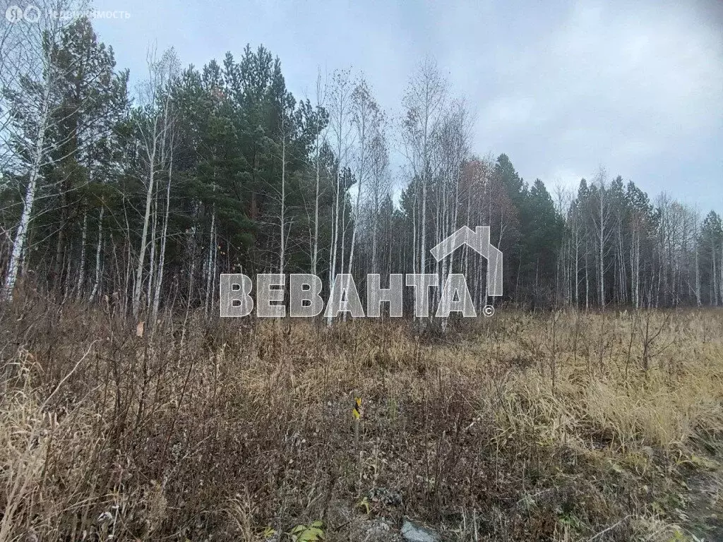 Участок в Нижнетавдинский район, садоводческое некоммерческое ... - Фото 1