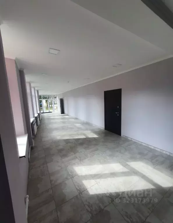 Помещение свободного назначения в Воронежская область, Рамонь рп ул. 9 ... - Фото 2