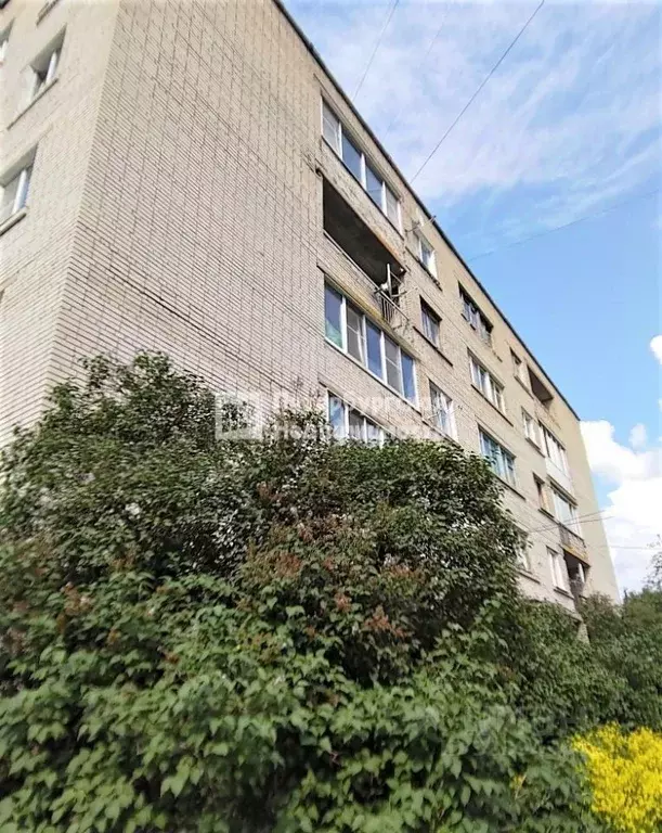 4-к кв. Ленинградская область, Гатчинский муниципальный округ, пос. ... - Фото 1