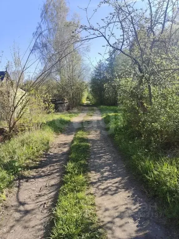 Участок в Ленинградская область, Кировский район, Синявинское ... - Фото 2