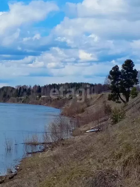 участок в коми, корткеросский район, с. вомын (40.2 сот.) - Фото 0