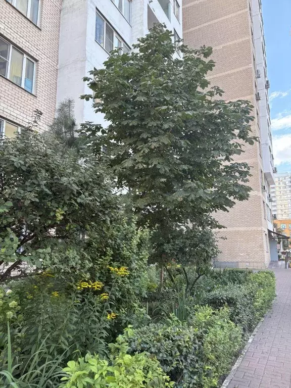 Квартира, 3 комнаты, 86 м - Фото 1