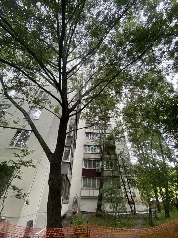 Комната Москва Косинская ул., 18К1 (23.8 м) - Фото 0