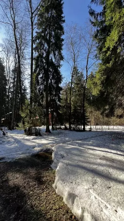 Участок в Московская область, Лобня Луговая мкр, Восточная ул., 10а ... - Фото 2