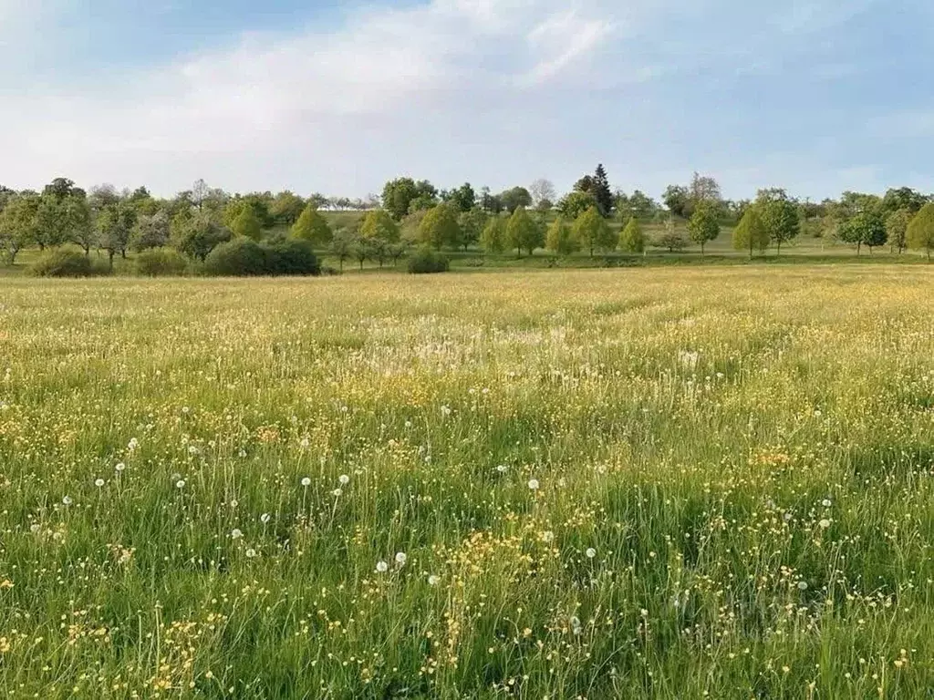 Участок в Курская область, Курский район, Моковский сельсовет, д. ... - Фото 1