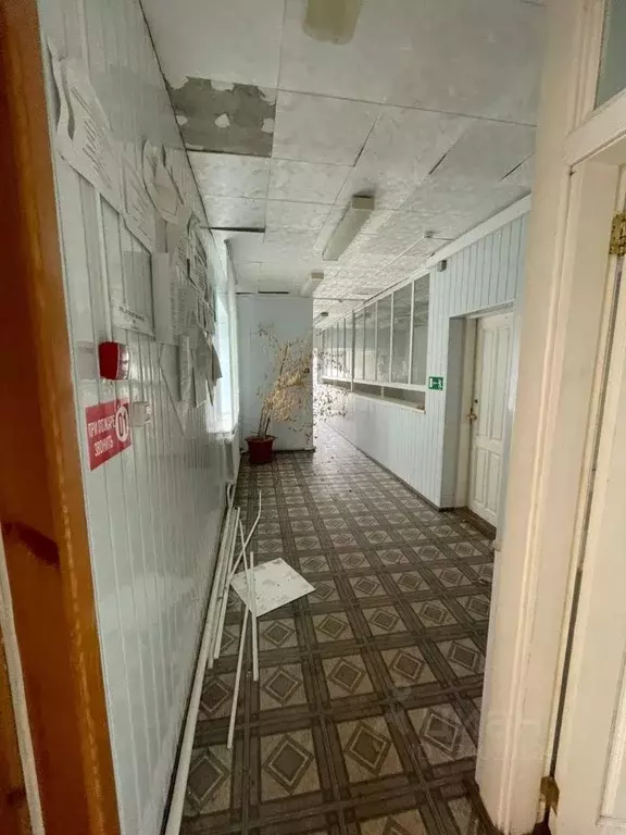 Помещение свободного назначения в Тюменская область, с. Юргинское ул. ... - Фото 1