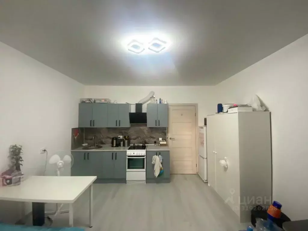 Студия Санкт-Петербург просп. Буденного, 21к4 (27.0 м) - Фото 1