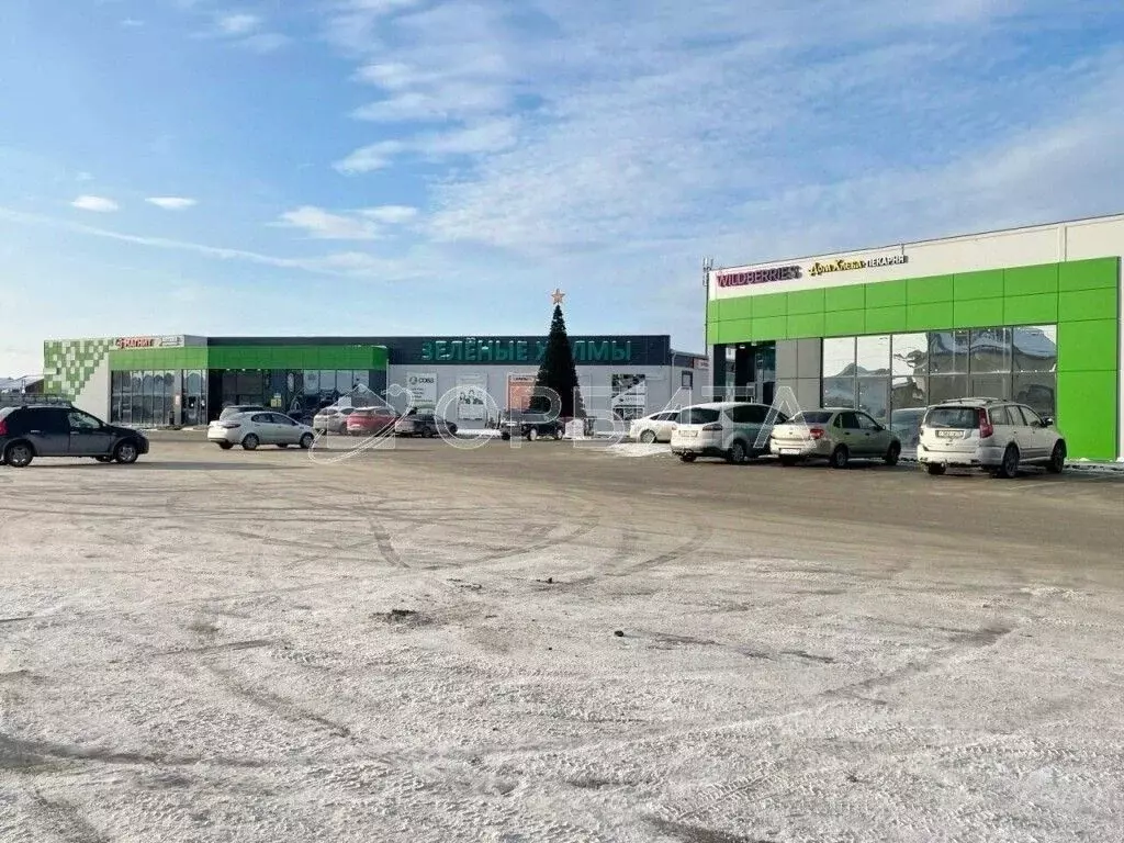 Участок в Тюменская область, Тюменский муниципальный округ, с. ... - Фото 2