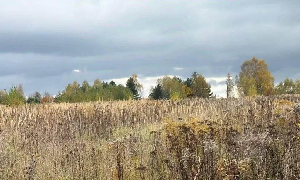 Участок в Московская область, Кашира городской округ, д. Колтово  ... - Фото 1