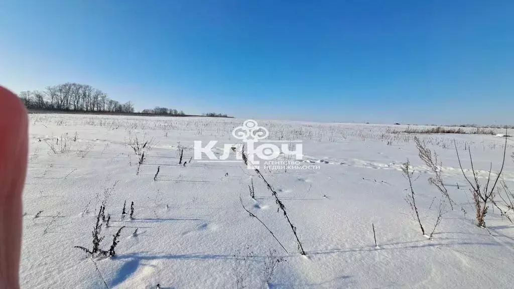 Участок в Башкортостан, Стерлитамакский район, Отрадовский сельсовет, ... - Фото 2